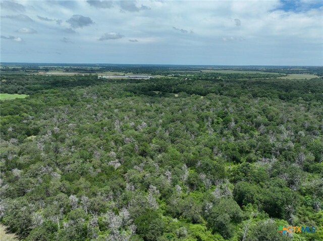 TBD Fm 3233, La Grange, TX 78945 - photo 15