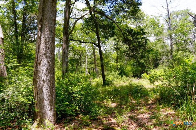 TBD Fm 3233, La Grange, TX 78945 - photo 9
