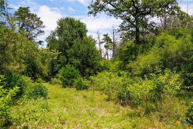TBD Fm 3233, La Grange, TX 78945 - photo 6