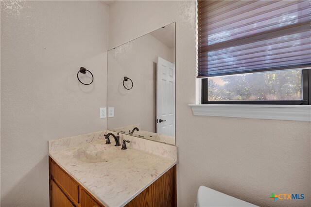 bathroom with toilet and vanity