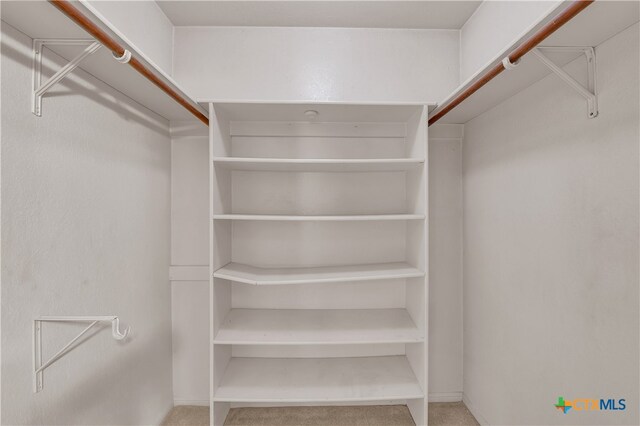 spacious closet featuring carpet