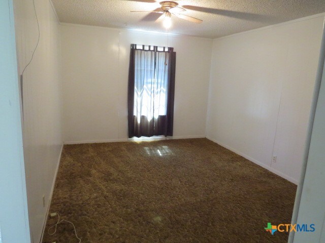 spare room featuring carpet, a textured ceiling, and ceiling fan