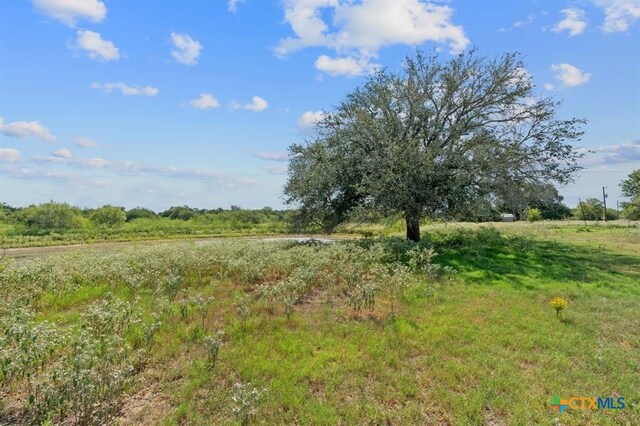 LOT10 Sparta Field Rd, Waelder, TX 78959