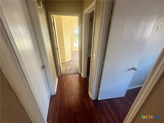 hall with dark wood-type flooring