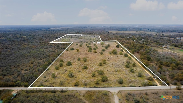 2124 Bugtussle Ln, Luling, TX 78648