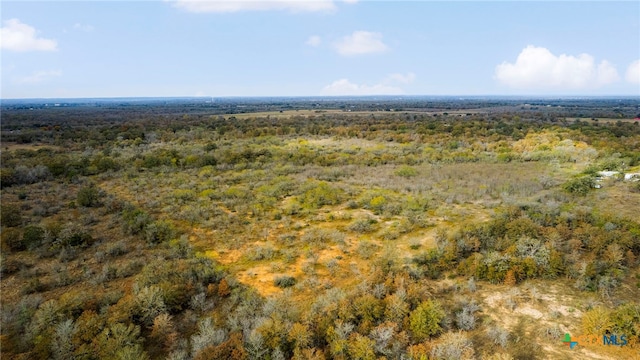 2124 Bugtussle Ln, Luling, TX 78648