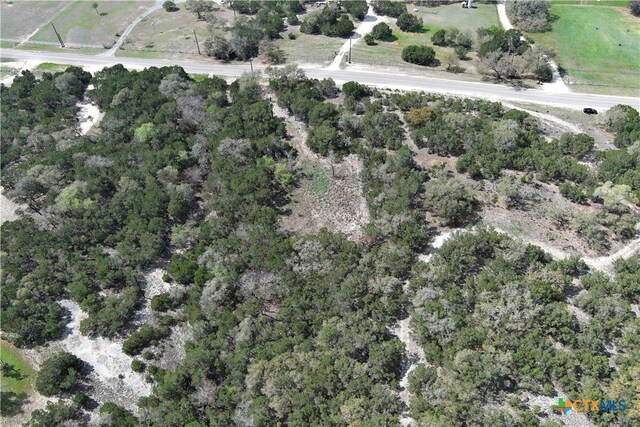 30110 Beck Rd, Bulverde, TX 78163 - photo 12