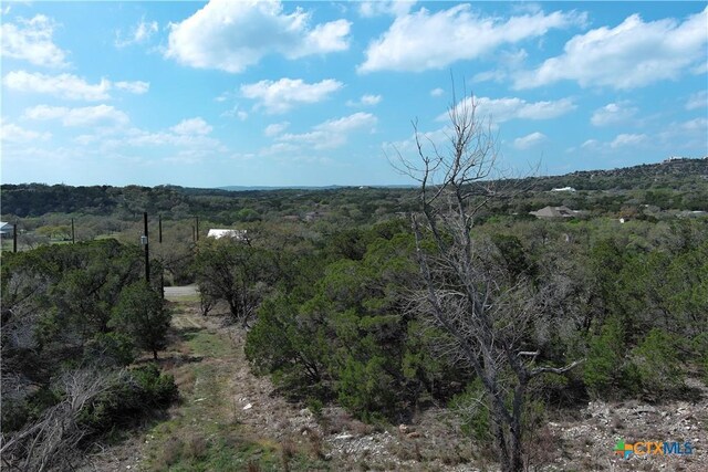 30110 Beck Rd, Bulverde, TX 78163 - photo 9