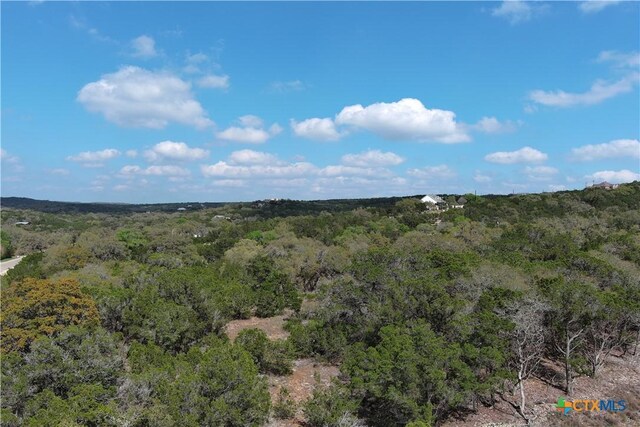 30110 Beck Rd, Bulverde, TX 78163 - photo 16