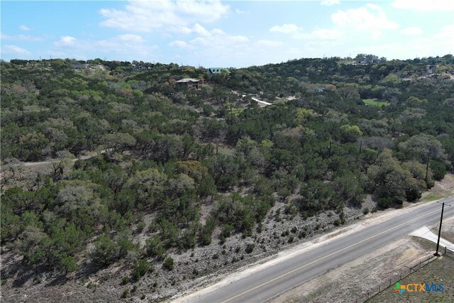 30110 Beck Rd, Bulverde, TX 78163 - photo 6