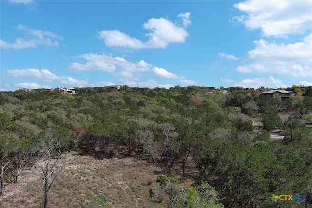 30110 Beck Rd, Bulverde, TX 78163 - photo 8