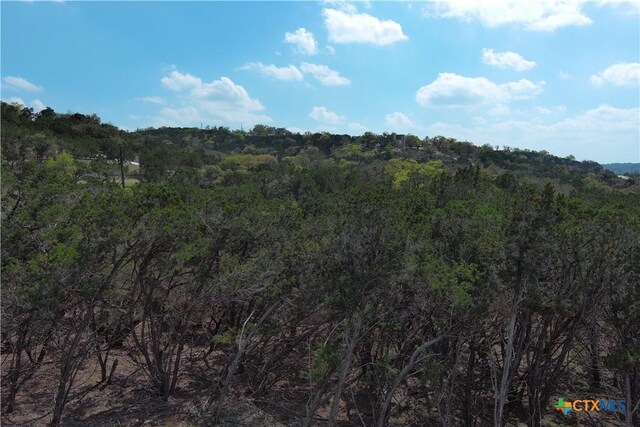 30110 Beck Rd, Bulverde, TX 78163 - photo 14