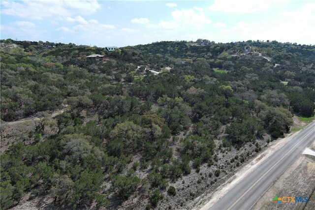 30110 Beck Rd, Bulverde, TX 78163 - photo 5