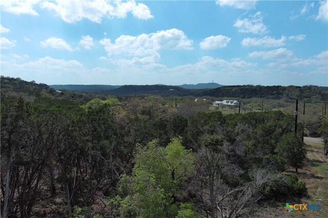 30110 Beck Rd, Bulverde, TX 78163 - photo 15
