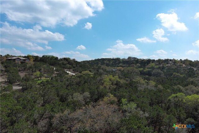 30110 Beck Rd, Bulverde, TX 78163 - photo 17