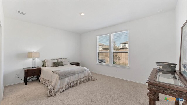 729 Heartseed Ave, New Braunfels, TX 78130 - photo 11