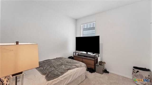 729 Heartseed Ave, New Braunfels, TX 78130 - photo 13