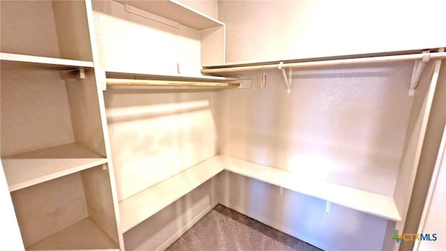 601 Barber Dr, Copperas Cove, TX 76522 - spacious closet with carpet