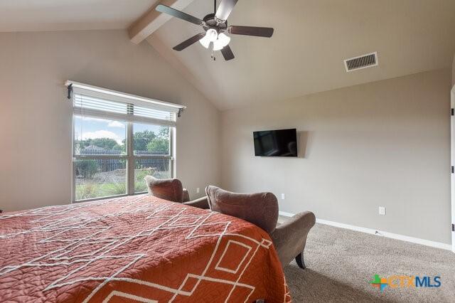 1802 Rustic Manor Dr, Temple, TX 76502 - photo 24