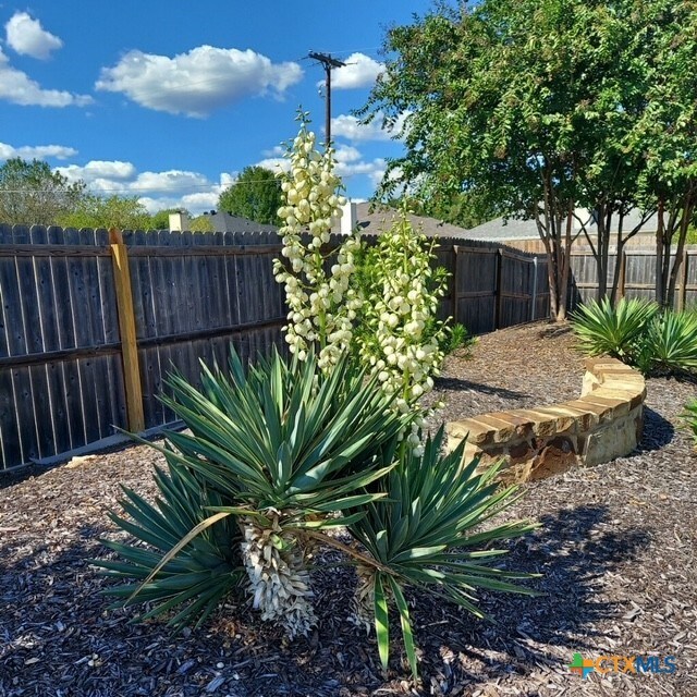 1802 Rustic Manor Dr, Temple, TX 76502 - view of yard
