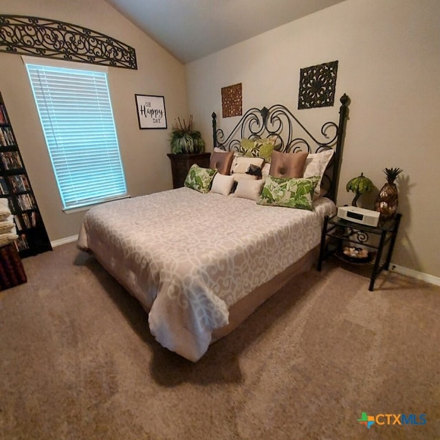 1802 Rustic Manor Dr, Temple, TX 76502 - bedroom with carpet, baseboards, and lofted ceiling