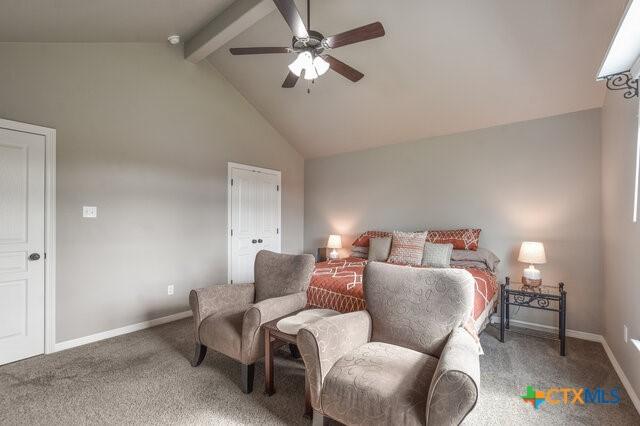 1802 Rustic Manor Dr, Temple, TX 76502 - photo 23