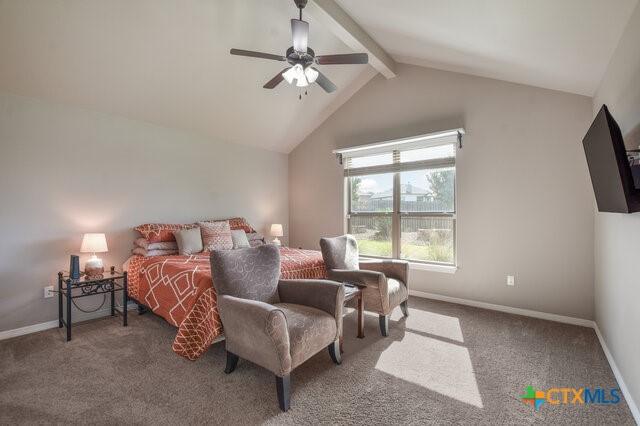 1802 Rustic Manor Dr, Temple, TX 76502 - photo 22