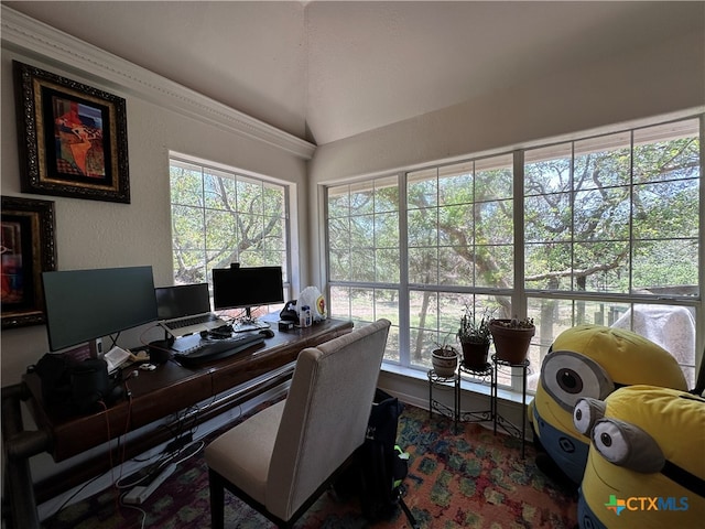 office featuring vaulted ceiling