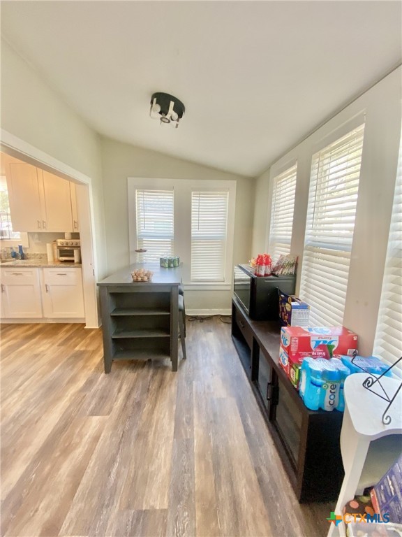 interior space featuring light wood-type flooring, vaulted ceiling, and a wealth of natural light