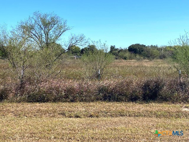 1401 Ball Airport Rd, Victoria, TX 77904 - photo 4