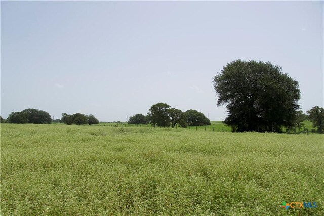 TBD County Road 408, Somerville, TX 77879 - photo 9