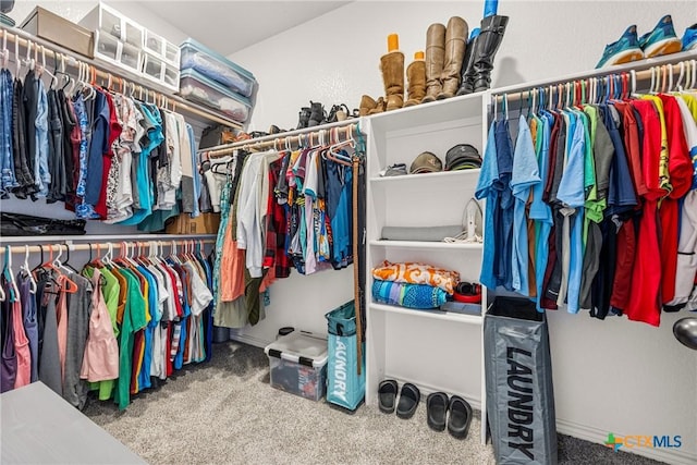 3424 Waggoner Dr, Belton, TX 76513 - walk in closet with carpet floors