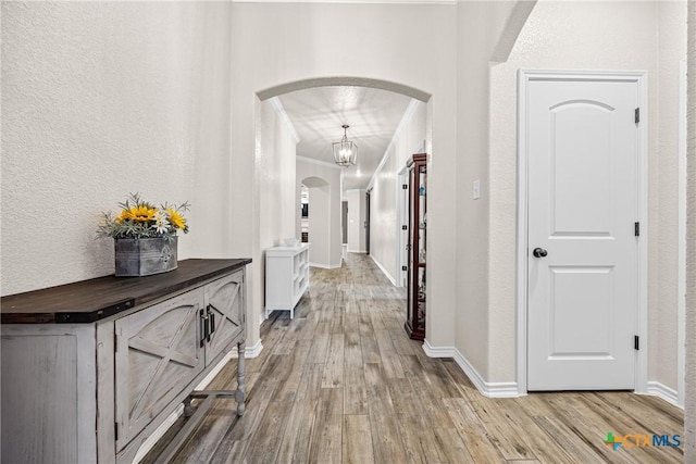 3424 Waggoner Dr, Belton, TX 76513 - hall featuring arched walkways, wood finished floors, a textured wall, and ornamental molding