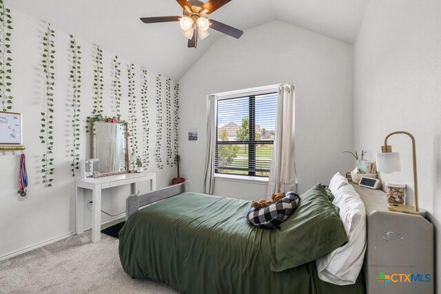 5779 Watusi Dr, Belton, TX 76513 - photo 22