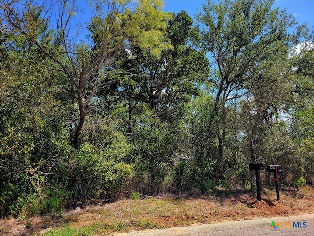 tbd Dale Lane, Dale TX, 78616 land for sale