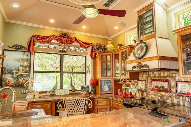 kitchen featuring stone counters, sink, ornamental molding, ceiling fan, and backsplash