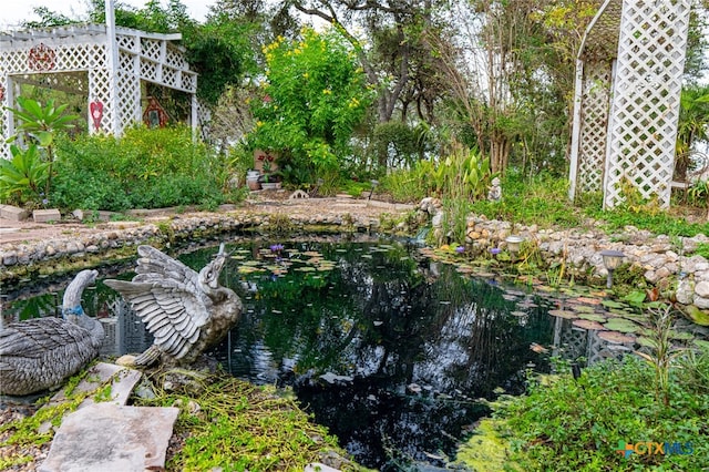 surrounding community with a small pond