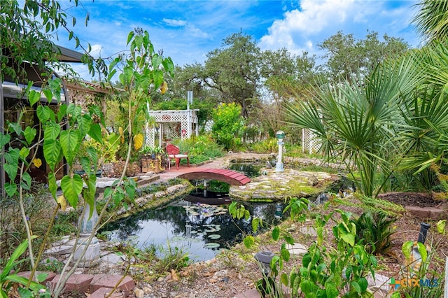 view of yard with a garden pond, a pergola, and a patio area