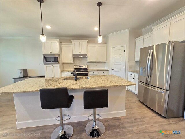 2635 Belle Hubbard Trl, Belton, TX 76513 - kitchen with stainless steel appliances, ornamental molding, under cabinet range hood, a sink, and tasteful backsplash