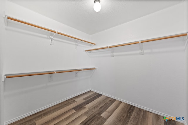 walk in closet featuring hardwood / wood-style flooring