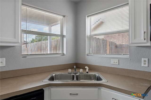 kitchen with white cabinetry, sink, and dishwasher