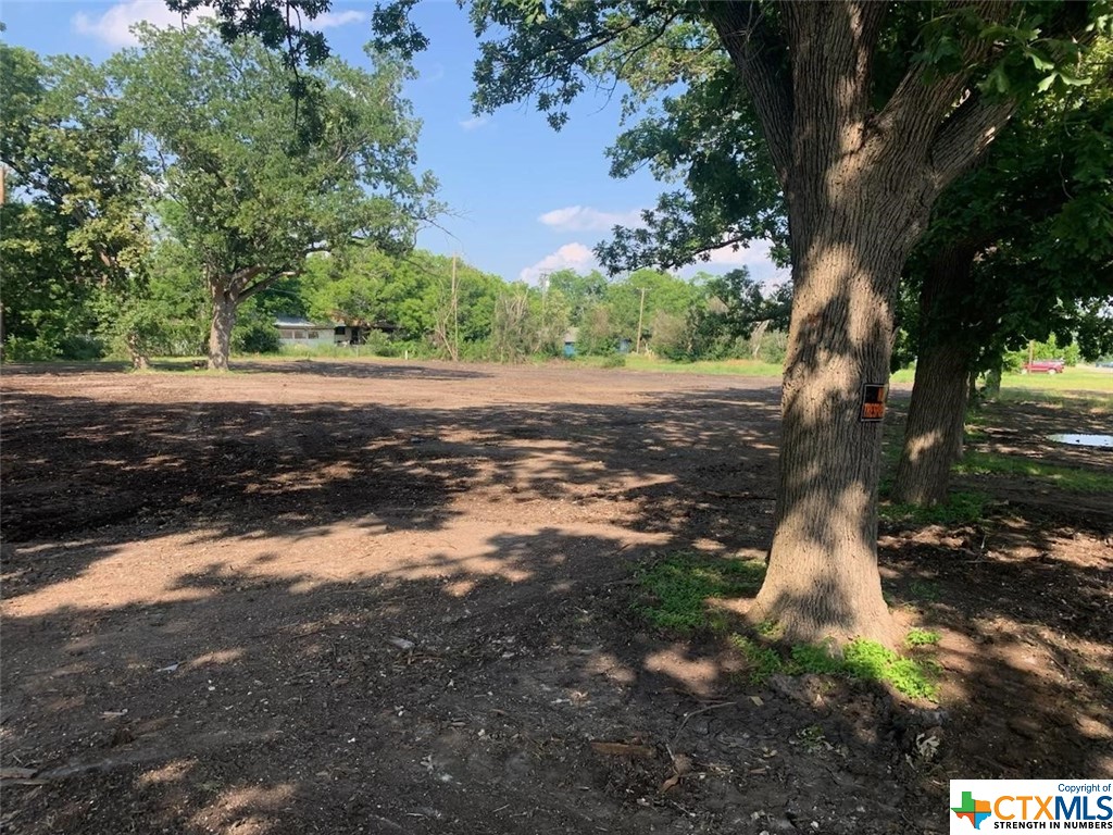 542 W Pietzsch St, Bartlett, TX 76534 - photo 2
