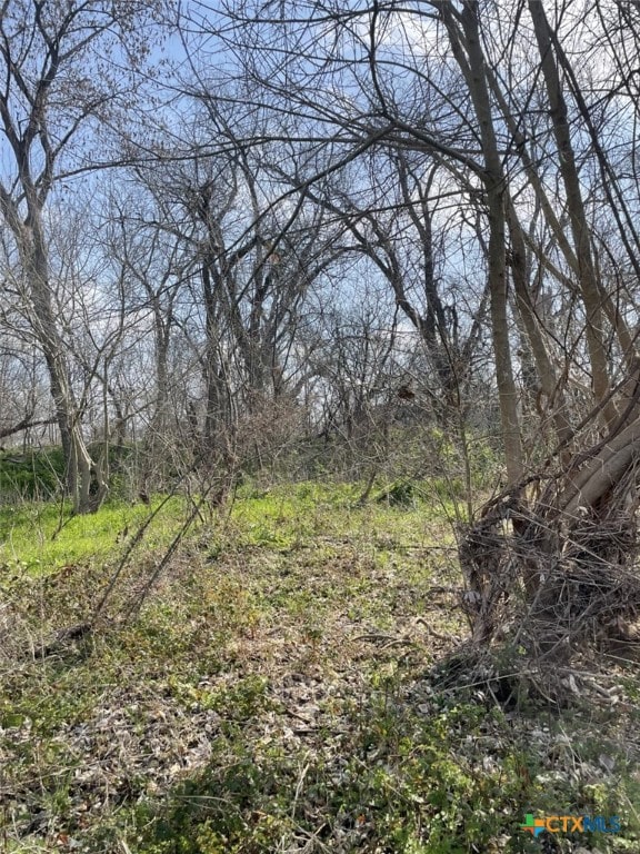 301 Fm 1979, Martindale, TX 78655 - photo 14