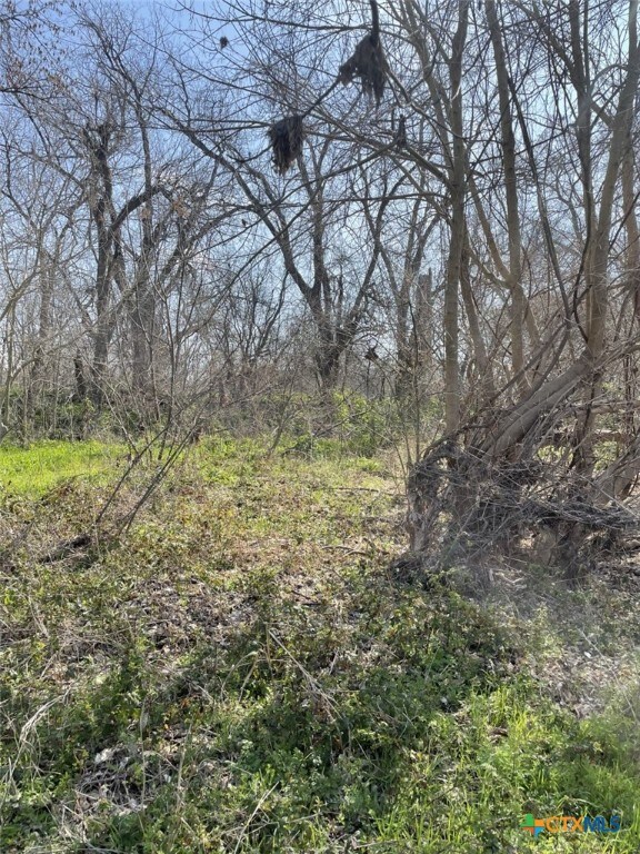 301 Fm 1979, Martindale, TX 78655 - photo 22
