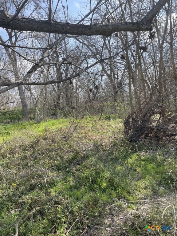 301 Fm 1979, Martindale, TX 78655 - photo 11