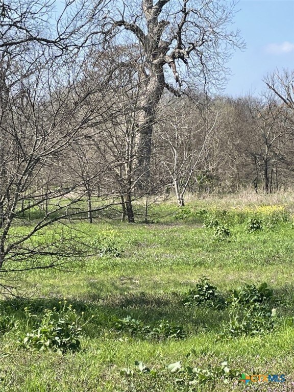 301 Fm 1979, Martindale, TX 78655 - photo 38