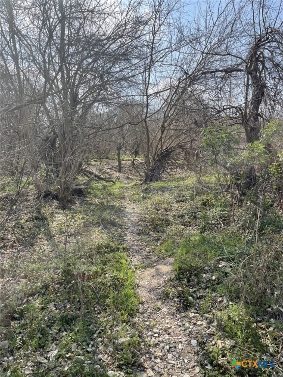 301 Fm 1979, Martindale, TX 78655 - photo 15