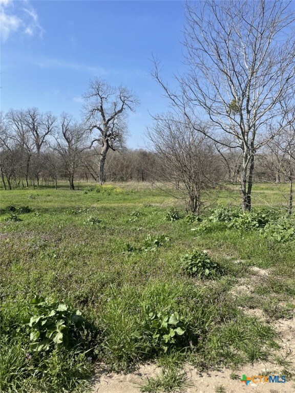 301 Fm 1979, Martindale, TX 78655 - photo 30