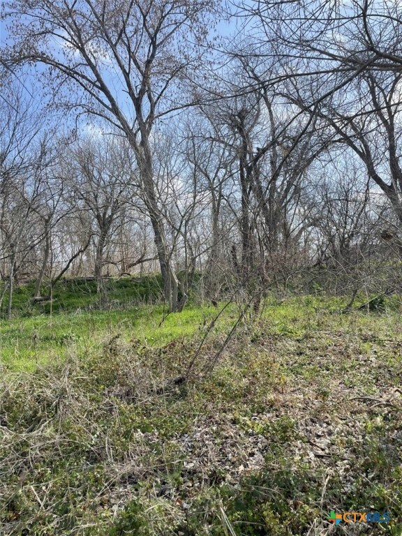 301 Fm 1979, Martindale, TX 78655 - photo 13