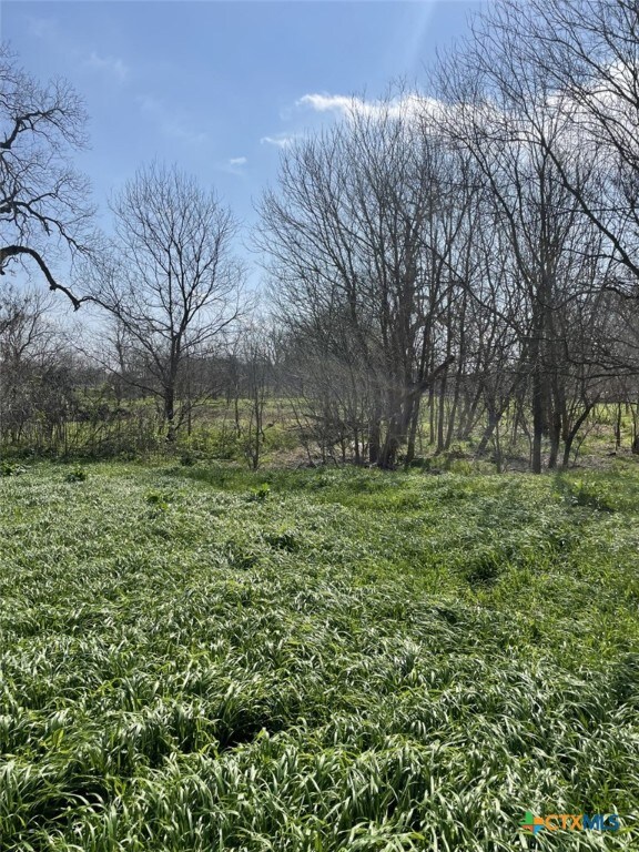 301 Fm 1979, Martindale, TX 78655 - photo 26